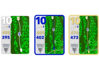 Custom maps and tee signs for Forest Valley Disc Golf Course in Triangle, VA. (Course Design by John Biscoe of Thrown Disc Golf)