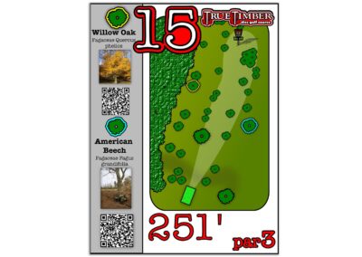 Tee sign design at TrueTimber Disc Golf Course (Richmond, VA); Hole 15; White Oak Layout.