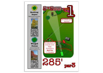 Tee sign design at TrueTimber Disc Golf Course (Richmond, VA); Hole 1; White Oak Layout.